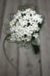 ウエディングブーケ