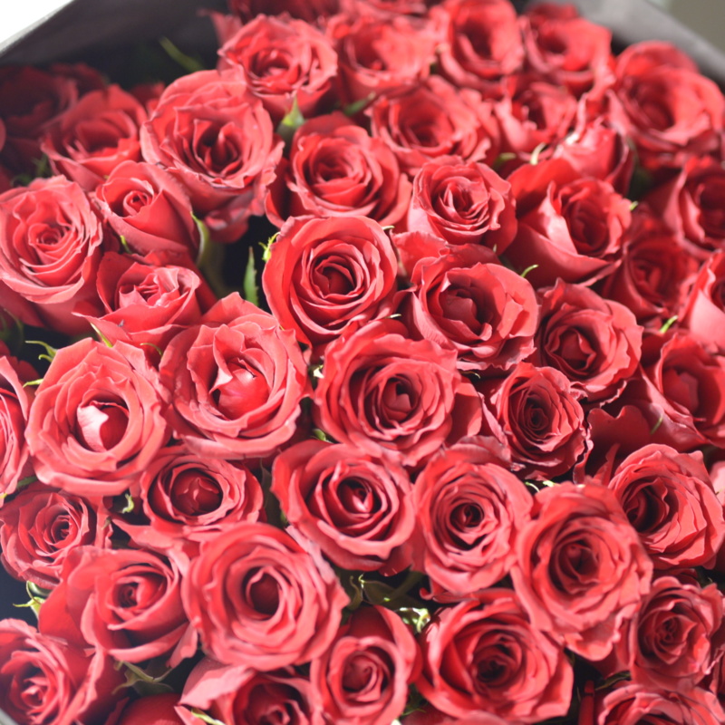 赤バラ花束