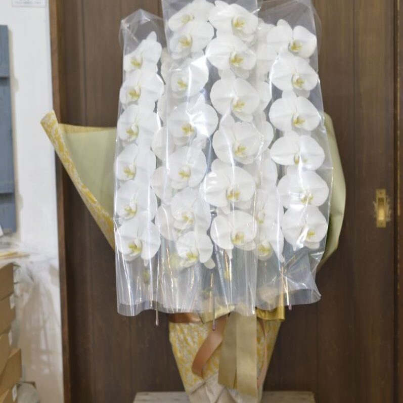 生花】カーネーション(おまかせグリーン):今週のオトク! - 花材